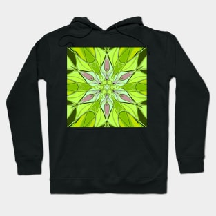 Cartoon Mandala Flower Green and Pink Hoodie